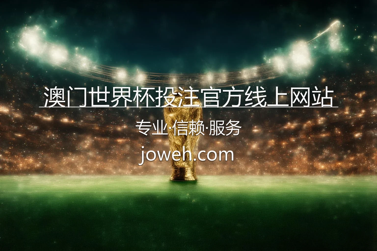 澳门世界杯投注官方线上网站